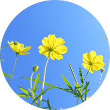 精神保健福祉士